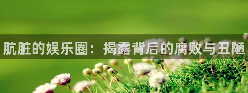 星空娱乐app安装