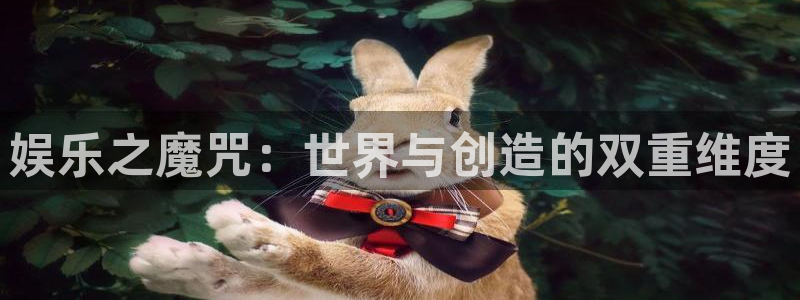 星空娱乐