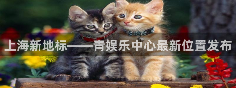 星空娱乐app下载安装