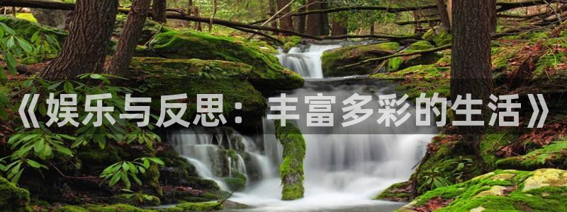 星空娱乐传媒有限公司