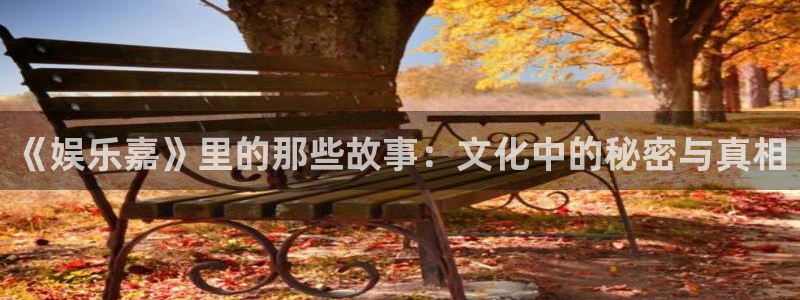 星空娱乐网址