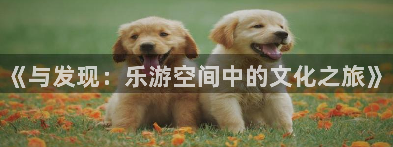 星空娱乐城