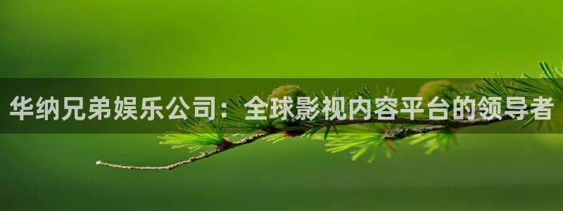 星空娱乐下载